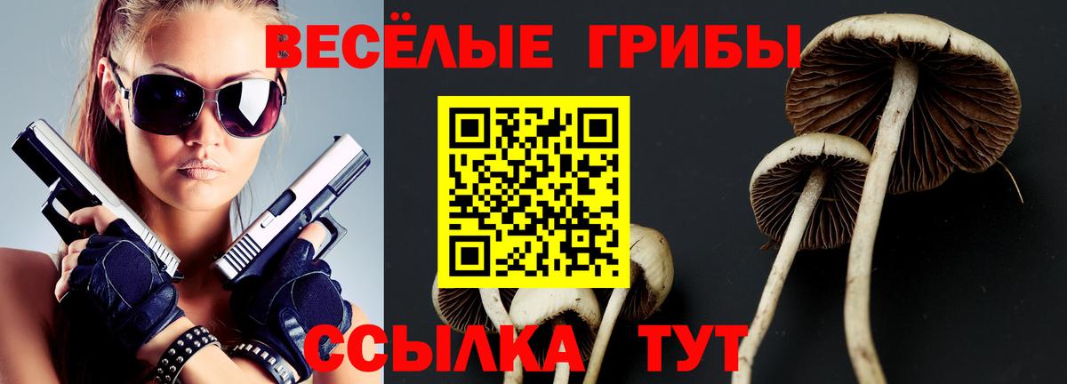 Галлюциногенные грибы прущие грибы Волхов