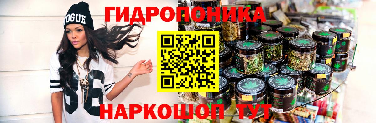 МАРИХУАНА гибрид Волхов